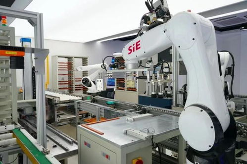 賽意信息2020年度業績說明會 智能制造業務高速增長，研發投入驅動智能機器人創新發展